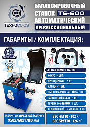 Комплект TS24AC+HR360 Станок шиномонтажный автомат+TS-600 Балансировочный стенд для легковых авто