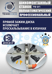 Станок шиномонтажный TS-21